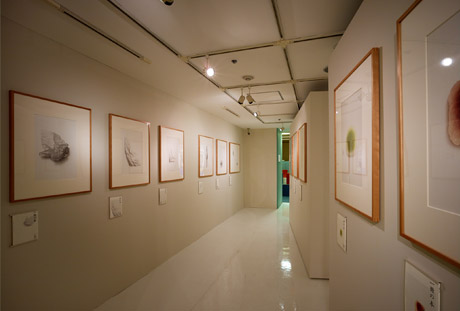 第672回デザインギャラリー1953企画展「具現する眼｜水谷嘉孝イラストレーション展」