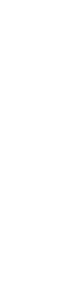 漆
